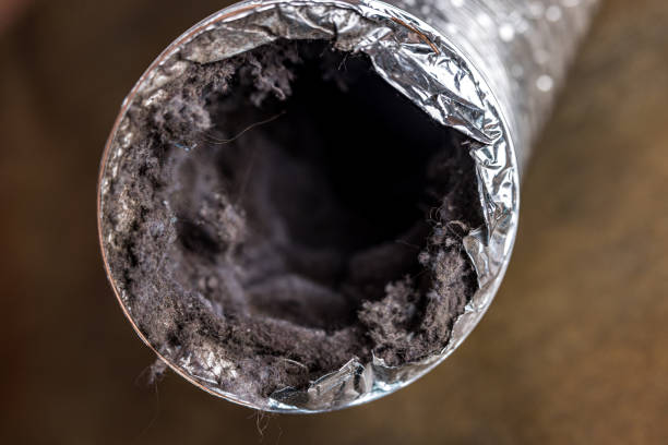 Best Commercial Air Duct Cleaning  in Shelby, NC